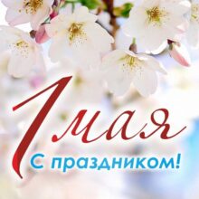 post-image-6081